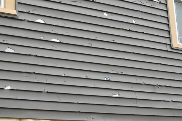 Reliable Ladysmith, WI Siding Services Solutions