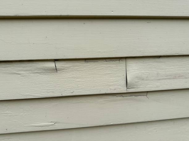 Best Fiber Cement Siding Installation  in Ladysmith, WI